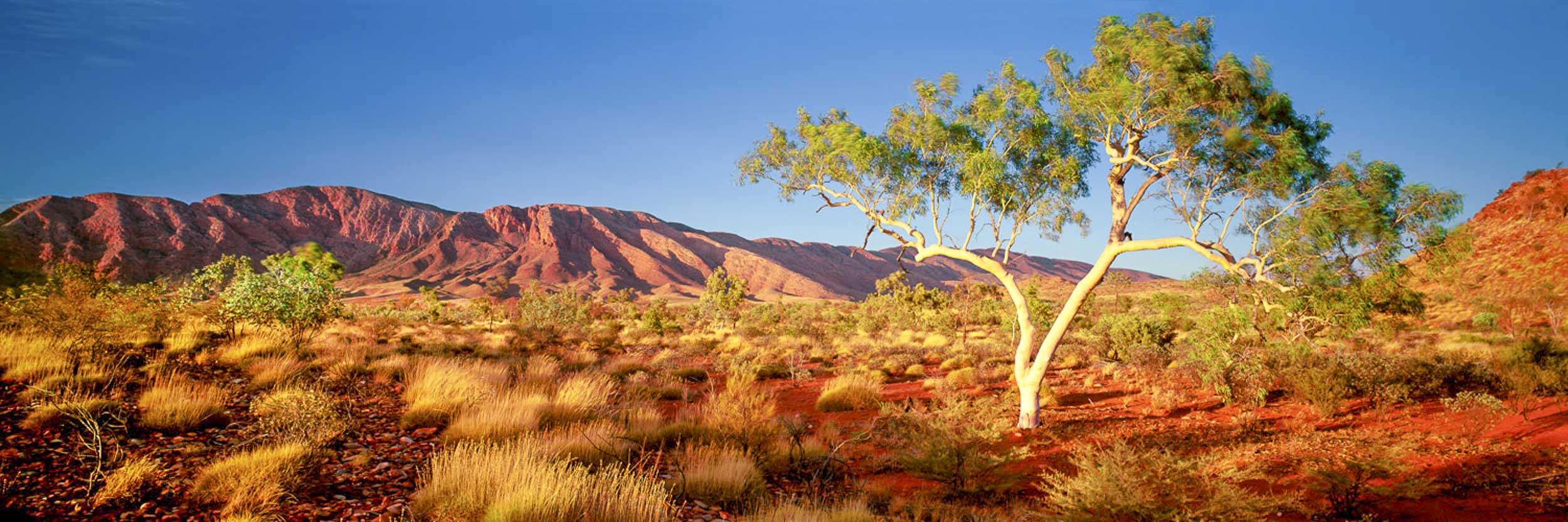 Sacred Land, NT