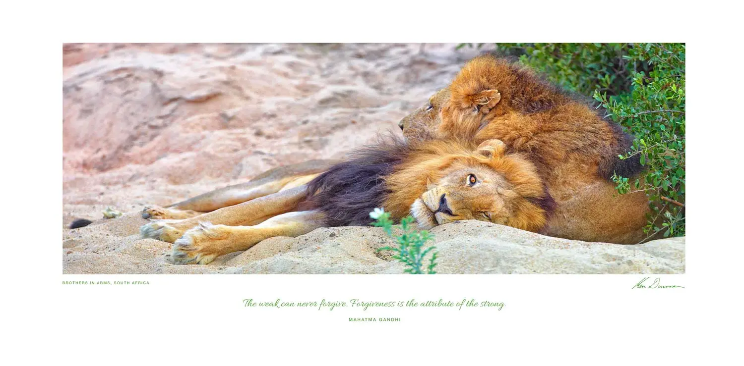 POSTER OF PURPOSE - BROTHERS IN ARMS, SOUTH AFRICA - Inspirational