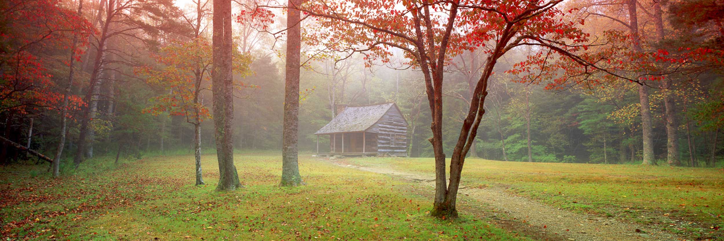 Mists of Time