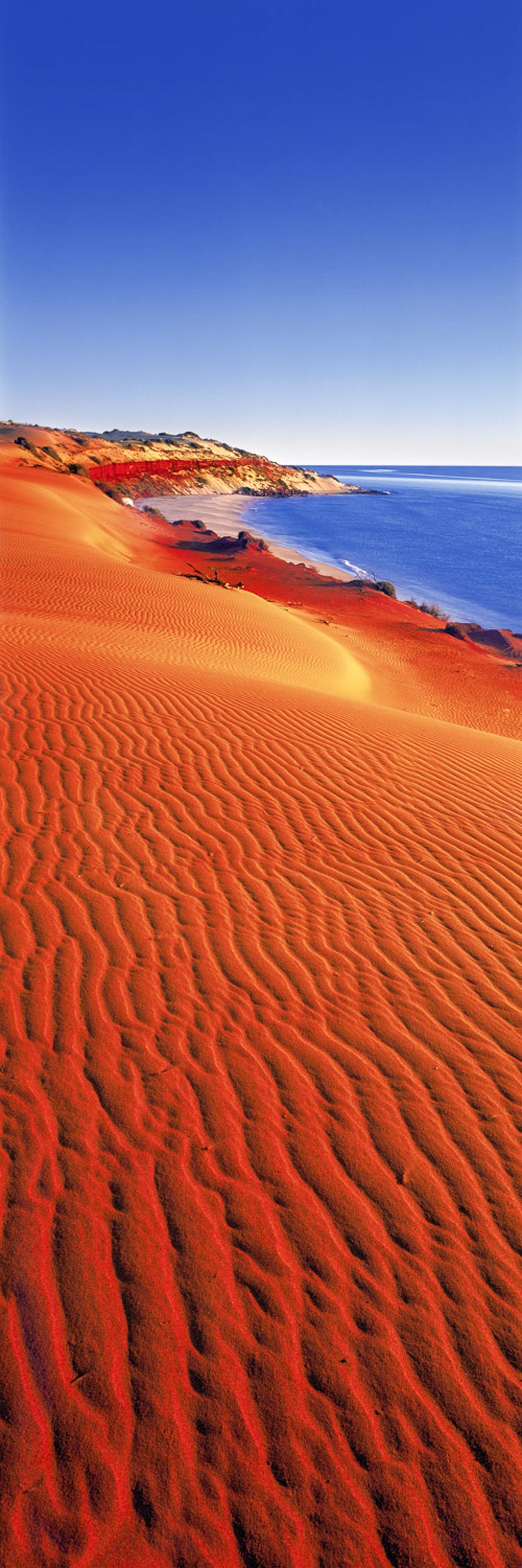 Pristine Wilderness